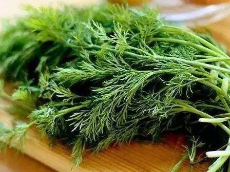 夏天6大“纯天然抑菌菜”，每一种必须多吃上两口