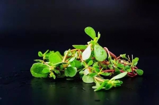 夏天6大“纯天然抑菌菜”，每一种必须多吃上两口