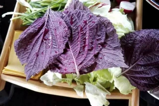 夏天6大“纯天然抑菌菜”，每一种必须多吃上两口
