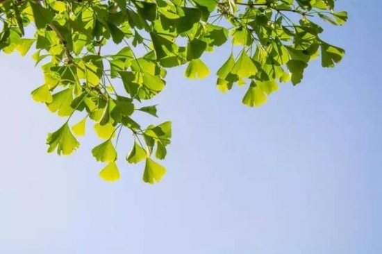   一道皱褶长在夏季，6招让衰退到来慢一点