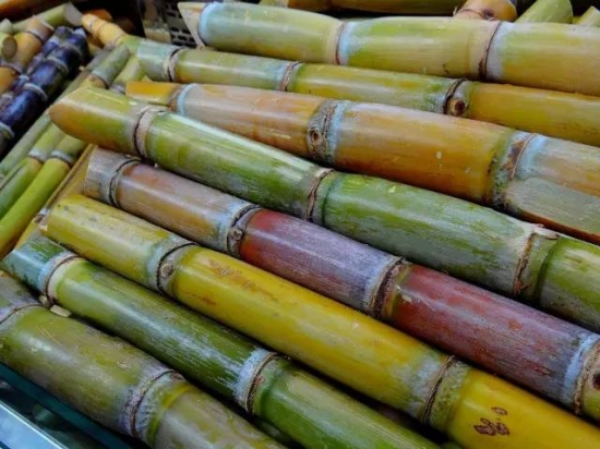夏天多吃这4种食材，去暑祛火又预防疾病！