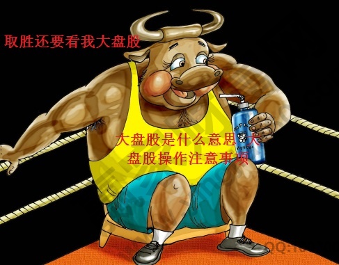 大盘股是什么意思 大盘股操作注意事项