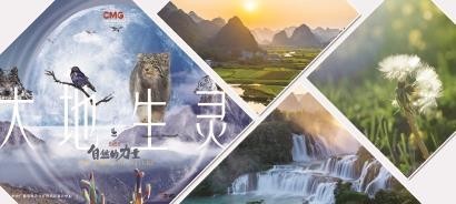 在遍野的生命奇迹里,感受中国生态变迁