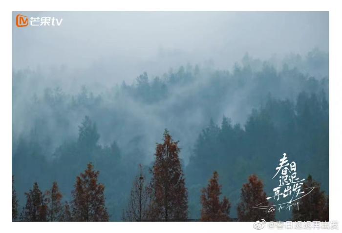 中新艺评:透过综艺,在玻璃渣里看成年人的婚姻