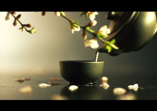 春季养生防燥多喝茶