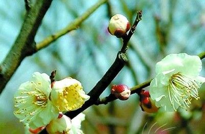 24节气春分养生六大秘诀