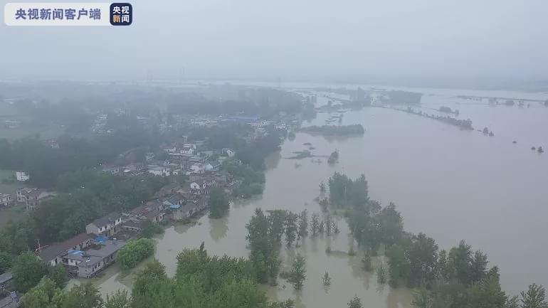 南方洪涝灾害 小动物逃生有高招