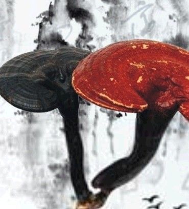 7种食物防春瘟抗流感提高免疫力(3)