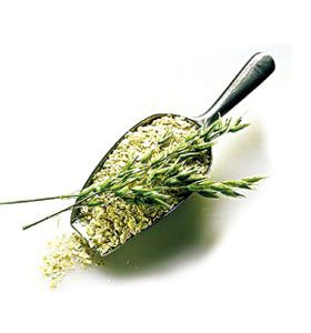 春季巧养生:多吃应季菜