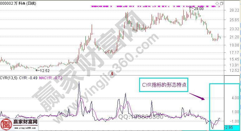 CYR形态特点