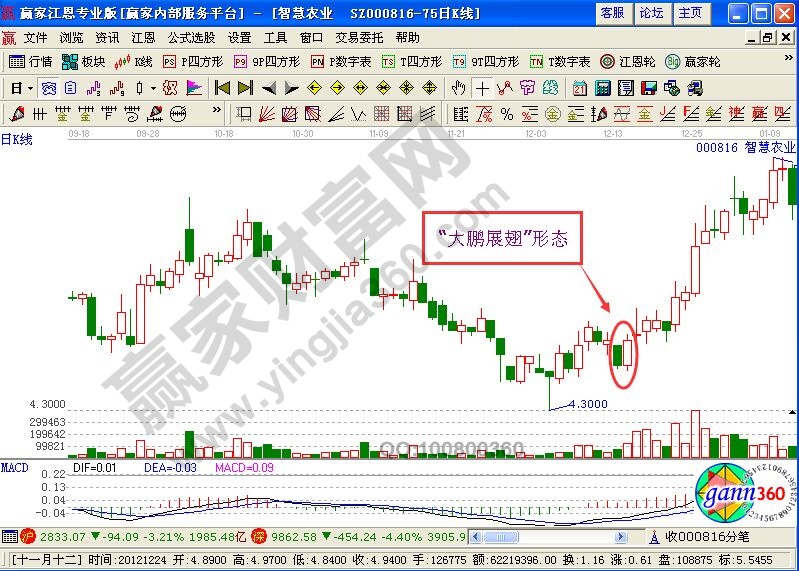 短线投资者的“大鹏展翅”战法阐释