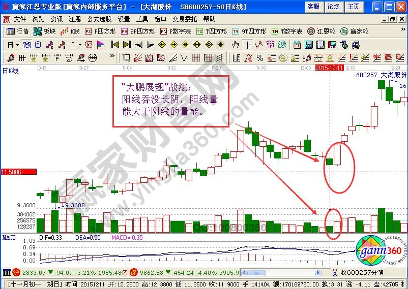 大鹏展翅战法