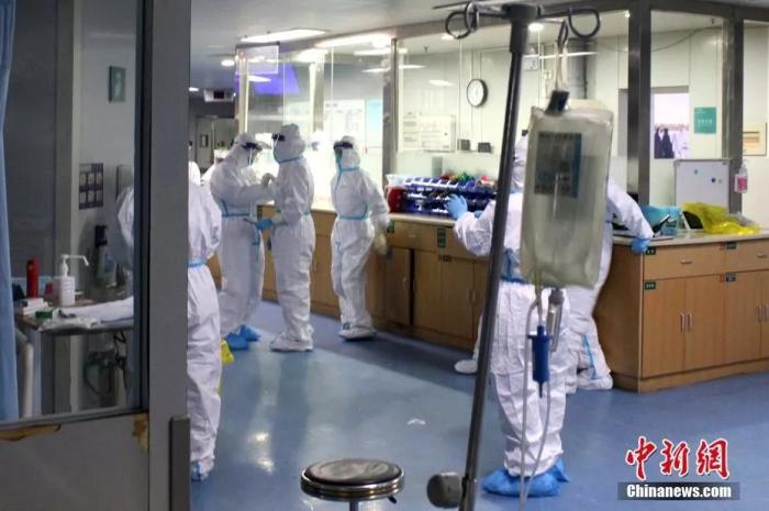 病毒活5天?宠物是否会将病毒传染给人?听医学专家怎么说