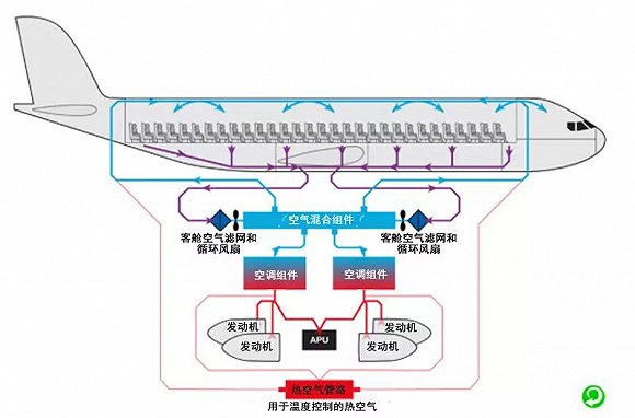 乘坐封闭飞机是否有传染病毒的危险?