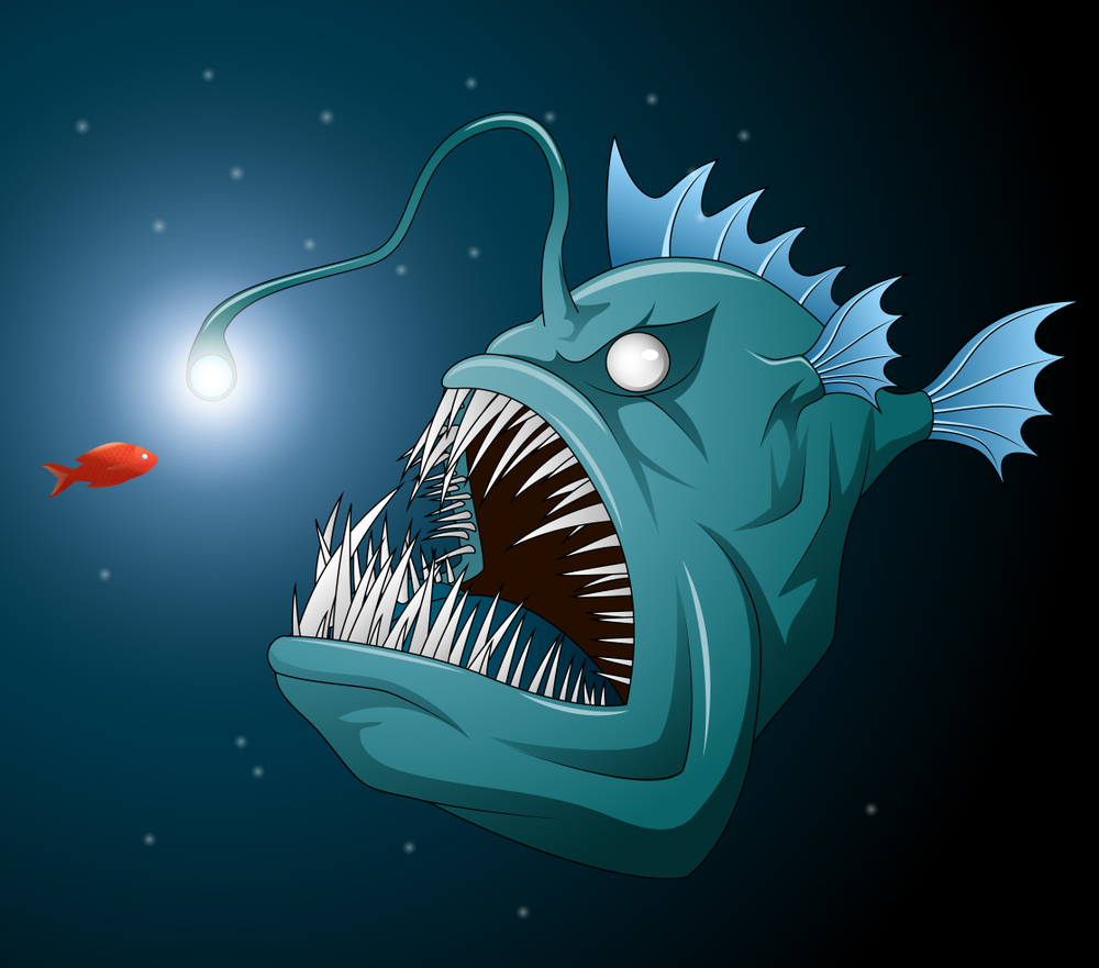 海里真的有幽灵吗？哪些海洋生物能发光？