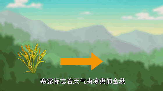 今日寒露 这些寒露习俗你知道吗