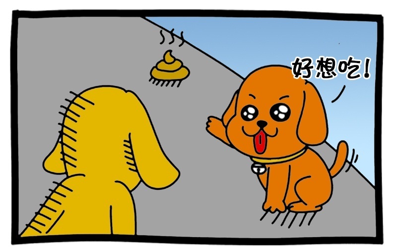 狗狗为什么会吃便便?