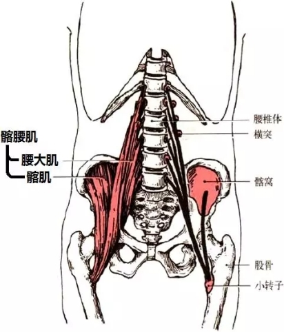 知否
