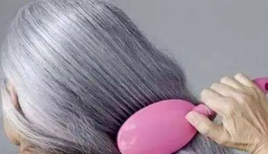 黑芝麻真的能治白发和防止头发脱落吗?