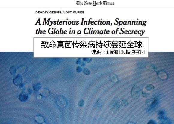 “超级真菌”肆虐全球 抗真菌药滥用?