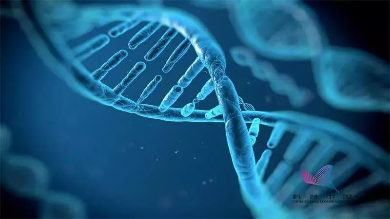 如何才能挑出安全的化妆品？