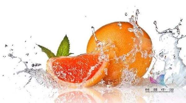 鲜橘皮泡水喝能止咳？你喝下去的可能是农药