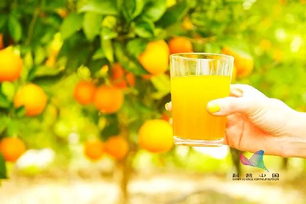 鲜橘皮泡水喝能止咳？你喝下去的可能是农药