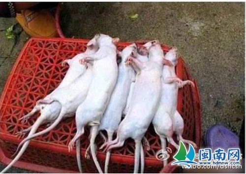 公安部公布的其他九起打击肉制品犯罪典型案例