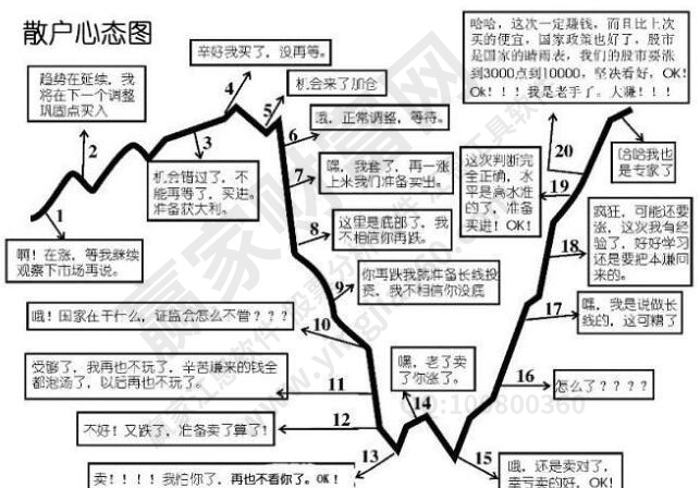散户是什么意思?散户与主力的区别?