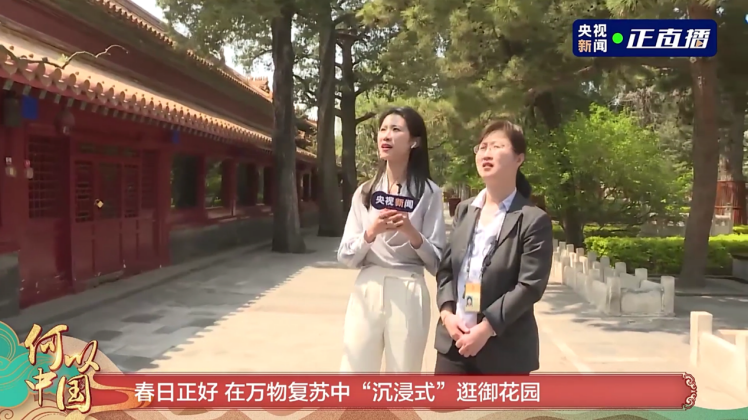 央视开启云赏“何以中国”文物特展