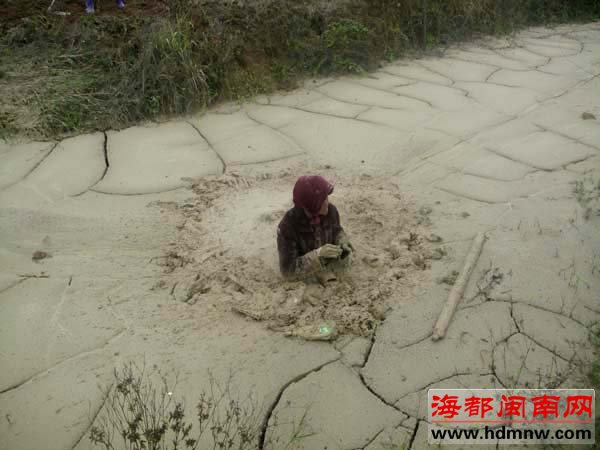 整整一天一夜 七旬阿婆被一“吸人”泥潭齐胸困住