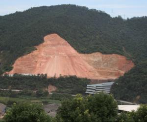 一机砖厂非法毁林占地8年