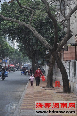 路平灯亮 细微处见城市美
