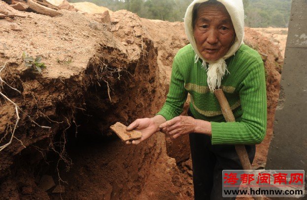 千枚,千年,宋朝古币,发现于惠安坝下村一在建地