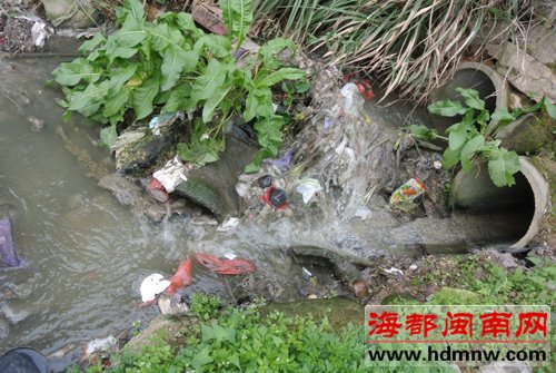 400万泉州人喝水的大水缸 山美水库污染触目惊心