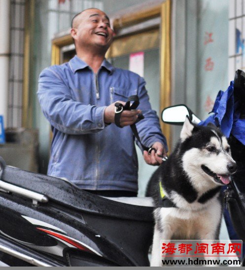 市区火车东站 流浪的哈士奇找到主人啦