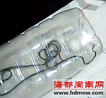 怪虫闯浴室 细细长长足半米