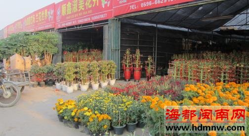 春节降至花市却遇“冷” 买者少价格不升反降