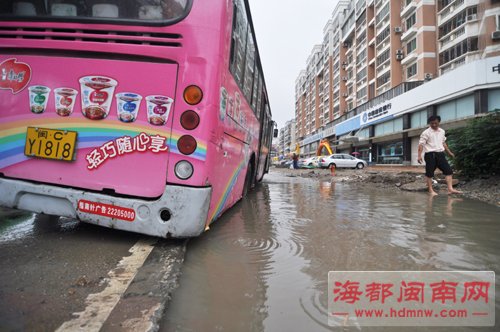 坪山路百米9处坑 “坑”住好几辆车