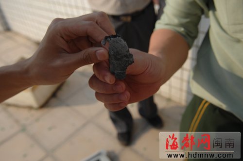 神秘“鱼雷”岸边沉睡1年?