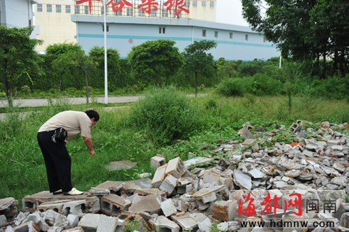 南安官桥一杂草地上女子被蚂蚁咬休克